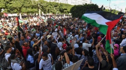 Multitudinarias protestas en Túnez y Marruecos contra la guerra y el asedio a Gaza por parte del regimensionista