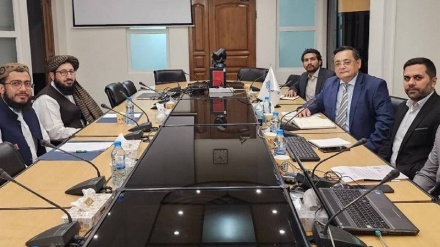 تأکید طالبان بر تقویت نقش افغانستان در سازمان اکو