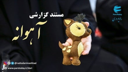 مستند گزارشی 