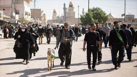 Peziarah Arbain di Irak Lampaui 21 Juta Orang