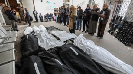 Число погибших в Газе превысило 62 тысячи