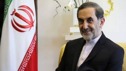 News | Velayati: The Caucasus has been Iran’s security buffer since the time of Cyrus; U.S. ambassador to France summoned