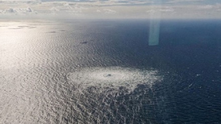 د نورډ سټریم ګازو نل لیکه په برید کښې لاس لرونکی کس ونیول شو