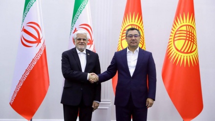 Arif: Region ölkələrinin həmrəyliyi xarici təhdidlərə qarşı təhlükəsizlik səviyyəsinin yüksəlməsinə kömək edir