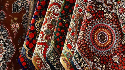 محبوبیت فرش ایرانی در کشمیر 
