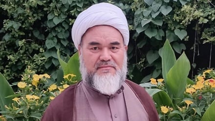 حضرت امام رضا علیه السلام در زمان خود اندیشه اسلامی را از هرگونه انحراف پاک کردند