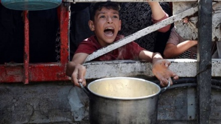 İran ve Dünya Haberleri | Suriye'den Gazze'ye: İran'dan Suriye'deki İnsani Kriz Uyarısı, Gazze Şeridi'nde Kıtlık Resmen Doğrulandı