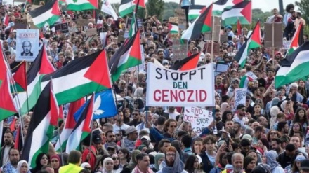 Avrupa’daki Filistinli destekçiler, Gazze'deki soykırımın sona ermesi çağrısında bulunarak büyük mitingler düzenliyor