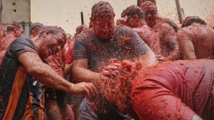 Sepuluh Peristiwa; Sepuluh Foto | Dari Penggantian Bendera Makam Imam Ridha di Iran hingga Festival Lempar Tomat di Spanyol