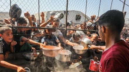 UNO: Mindestens 1.760 Hilfesuchende in Gaza getötet
