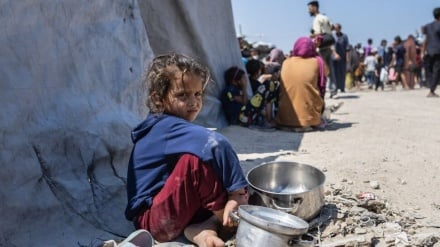 UNRWA: Menyelesaikan Krisis Kemanusiaan di Gaza Mustahil Tanpa Gencatan Senjata