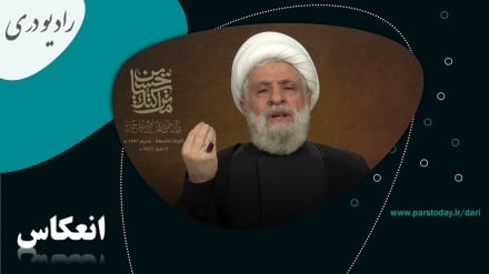 واکنش شدید شیخ نعیم قاسم درباره خلع سلاح حزب الله لبنان 