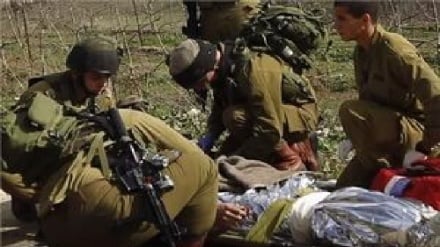 פעולות תימניות איכותיות, הריגת 3 ציונים והשמדת עשרות כלי רכב