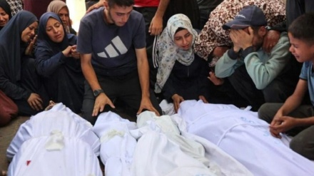 وزارت بهداشت فلسطین: 71 فلسطینی دیگر در باریکه غزه شهید شدند 