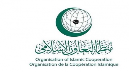 بیانیه پایانی نشست سازمان همکاری اسلامی؛ مخالفت با طرح 