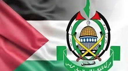 Hamas: Israeli aggression against Yemen a clear violation of international law