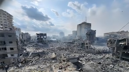 Sept événements ; Sept photos|De l’insécurité alimentaire dans la bande de Ghaza, à  l'alerte orange en raison de températures élevée en Europe
