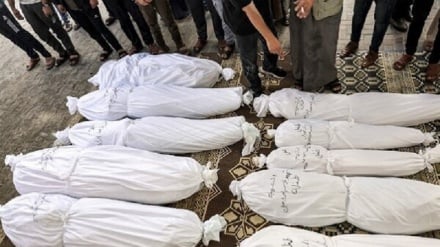 Korban Gugur di Gaza Meningkat Menjadi 62.000