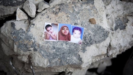 Quel pourcentage des martyrs de Gaza sont des militaires ?