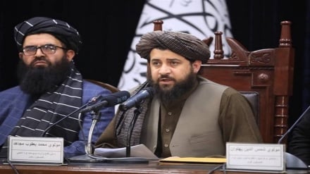 طالبان: ادامه تنش با پاکستان به نفع هیچ‌ یک از دو کشور نیست  