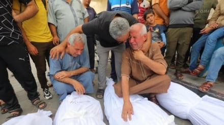 Ğəzzədə 59 qılə şəhid bə nakonə şəhidon əlovə bən