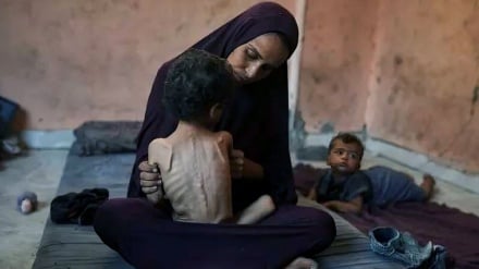 Jumlah Korban Kelaparan di Jalur Gaza Meningkat Menjadi 251