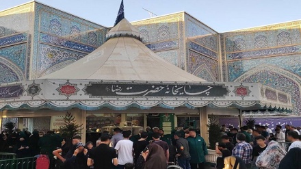 مستند گزارشی «چایخانه» روایتگر شوق و دلدادگی به امام رضا (ع) 