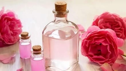 گلاب؛ عصاره‌ای از طبیعت برای آرامش و درمان در طب سنتی ایرانی