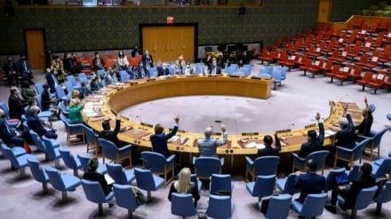 Dichiarazione di 14 membri del Consiglio di Sicurezza delle Nazioni Unite per fermare la guerra a Gaza