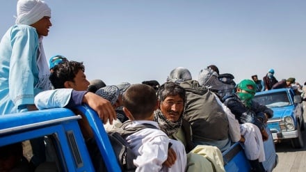 طالبان صدها نفر را به اتهام سفر غیرقانونی به ایران بازداشت کردند