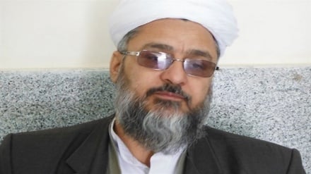 عالم اهل سنت: امام رضا (ع) منشاء وحدت و محبت به اهل بیت پیامبر (ص) است