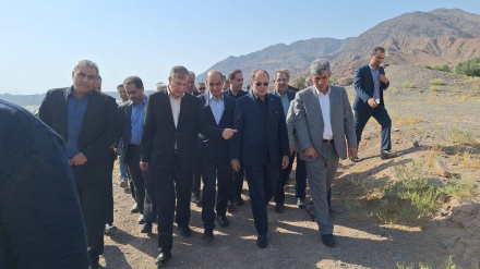 Rudbarədə bıə Əli Obod Zeytun İnə Boğon dınyoədə bənə çominə beynəlxalğə zeytuni kolleksiya ğeyd kardey bıə