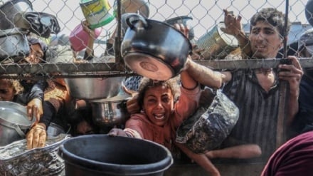 193 Todesfälle durch Hunger und Mangelernährung in Gaza