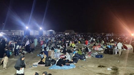 آغوش باز هرات برای مهاجرین بازگشته به کشور