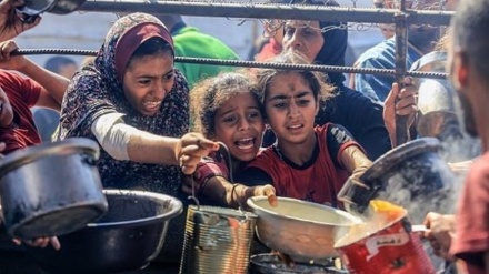 10 זוכי פרס נובל מזהירים מפני אסון בעזה