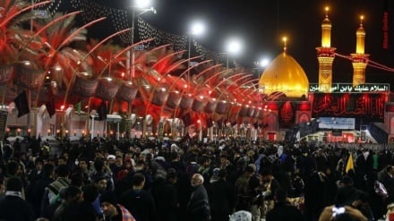 News of Sunni community | Arbaeen's message: From Muslim unity to solidarity with Gaza people