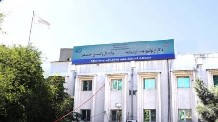 طالبان سه شنبه 