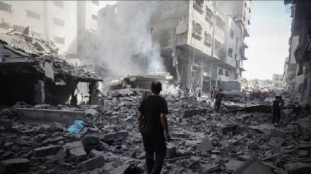הצהרה ערבית-אסלאמית משותפת בגנות החלטת ישראל לכבוש את עזה