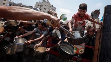 یک میلیون نفر در غزه روزانه هیچ غذایی ندارند