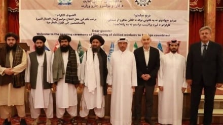 مجله اقتصادی، تلاش برای ایجاد فرصت های شغلی برای کارگران افغانستانی در داخل و خارج افغانستان 10 05 1404