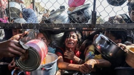 د اسرائيلو  سوچه دروغ ؛ په غزې کې هیڅ ډول لوږه نشته! 