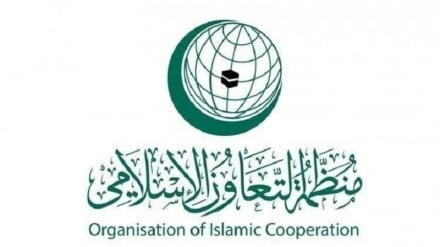 OIC condemns Israel’s decision to occupy Gaza