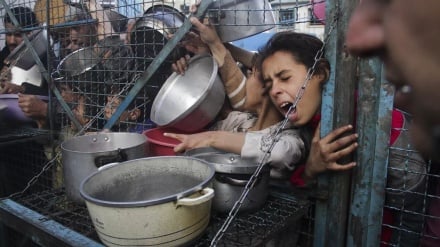 Gerakan Nasional-Islam Palestina Peringatkan Meluasnya Bencana Kemanusiaan dan Kelaparan di Gaza