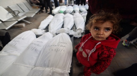 UNRWA: Zaidi ya watoto 540 wameuawa shahidi huko Gaza kila mwezi