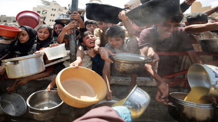 Zaidi ya mabalozi 206 wa zamani wa EU wataka Israel ichukuliwe hatua kali