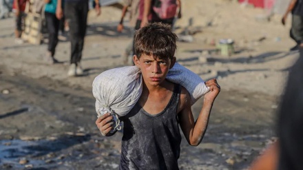 Israël mène des massacres organisés dans la bande de Gaza