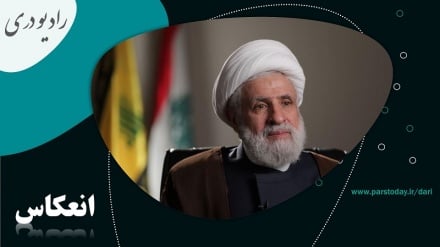 واکنش دبیرکل حزب الله لبنان درباره خلع سلاح مقاومت 