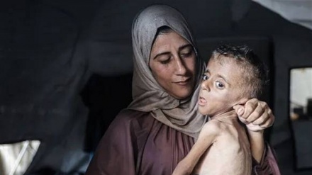 Hamas: Gazze, Soykırımın En Tehlikeli Aşamasında