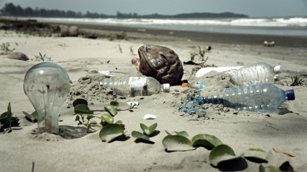 स्मार्ट रोबोट; समुद्रों को प्रदूषण से बचाने में ईरानी शोधकर्ताओं की एक बड़ी उपलब्धि