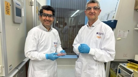 Investigadores iraníes desarrollan piel humana: alcanzan un nuevo récord en la producción de hidrógeno verde gracias a la nanotecnología